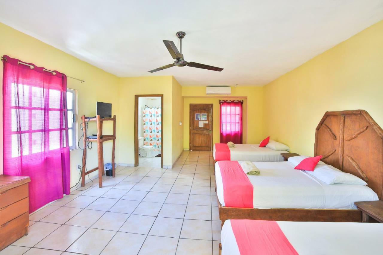 Hostal Les Trois Singes - Friendly Hostel